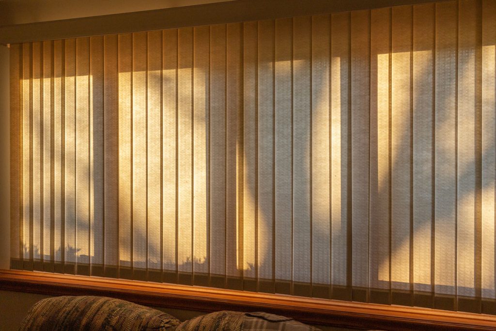 Abstract design texture of tree shadows upon a wide window with vertical blinds